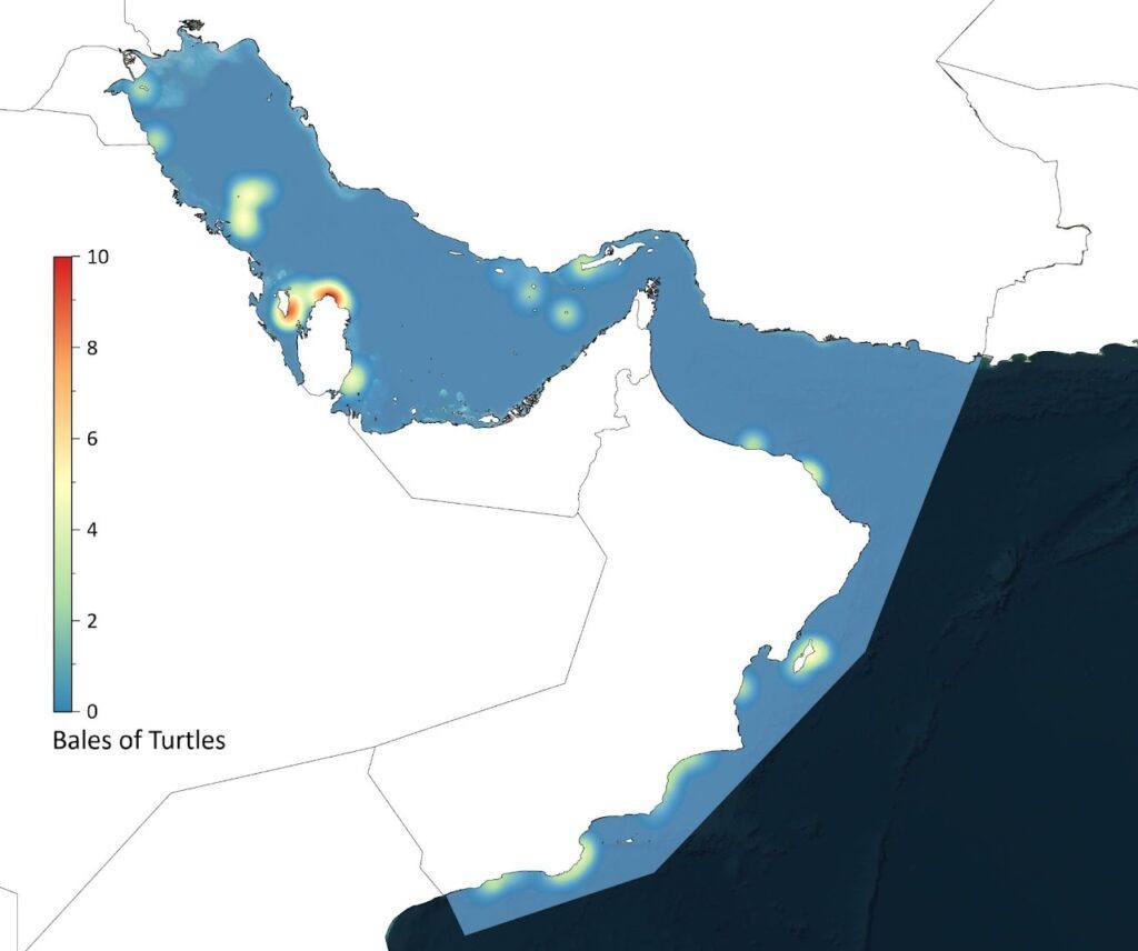 خريطة كثافة السلاحف البحرية